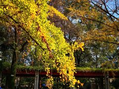 -四川大学(华西校区)