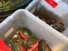 -强记海鲜·大排档(蛇口新街店)
