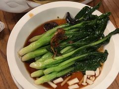 -新白鹿餐厅(百联中环店)