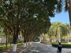 -厦门大学(思明校区)