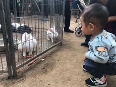 -呀路古热带植物园