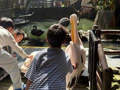 -海南槟榔谷黎苗文化旅游区