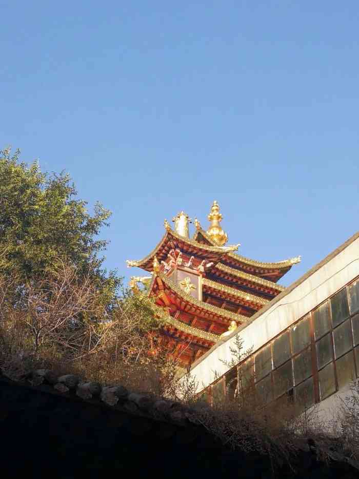 宏觉寺-"宏觉寺来西宁旅行顺路看的,先去了金塔寺."-大众点评移动版