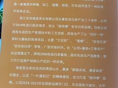 -正源安吉白茶特产享购商场(安吉店)