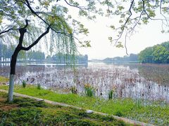 -东湖听涛景区