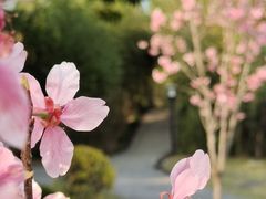 -福建鲤鱼洲酒店