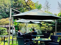 -大可堂普洱茶馆(襄阳南路馆)