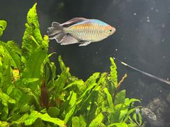 -太平洋海底世界