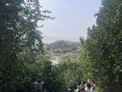 -狼山风景名胜区