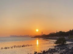 -深圳湾公园(南山区)