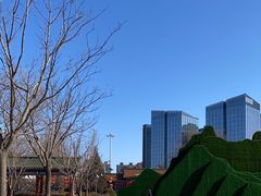 -莲花池公园