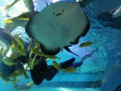 -常州海昌海洋探索馆