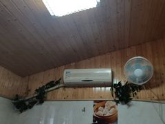 -家烧面馆【南山路知名经典面食】