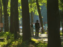 -武陵山森林公园