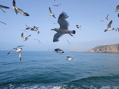 -海驴岛(荣成市)