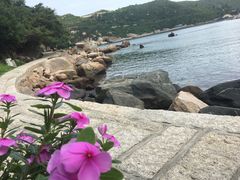-东澳岛