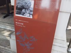 -大馆(前中区警署建築群)