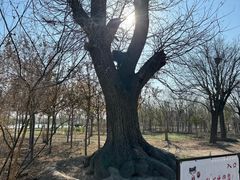 -甜心庄园·甜心草莓采摘园(西青中北店)