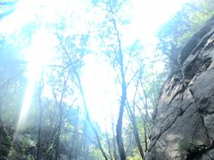 -大岭沟猕猴桃谷风景区