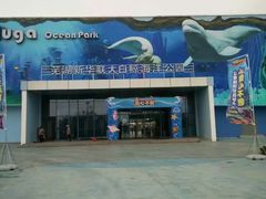 -芜湖新华联大白鲸海洋公园