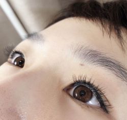 -BELLAREAL新美社