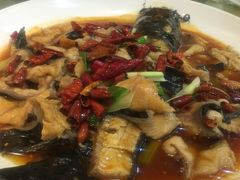 -福禄财东北菜(珠江帝景店)