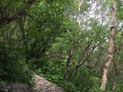 -白草畔自然风景区