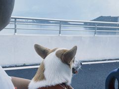 -江南天池