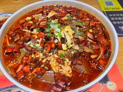 -易老妈蹄花.特色川菜(人民公园总店)
