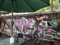 -柴犬高等学院·狗咖·柴犬售卖·宠物训练