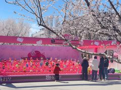 -桃花堤公园