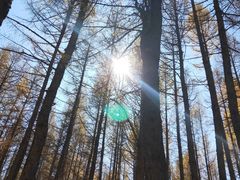 -塞罕坝国家级自然保护区