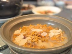 鸡油菌-熙楼(翠湖店)