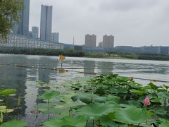-天鹅湖体育公园