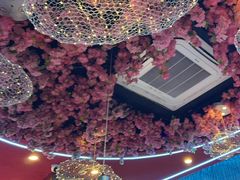 -杨记齐齐哈尔烤肉(总店)
