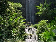 -新加坡飞禽公园