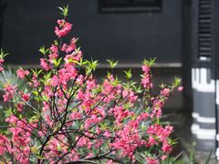 -湖南省立第一师范学校旧址