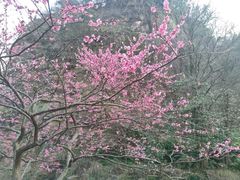 -狼山风景名胜区