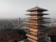 -临平公园(临平街道)