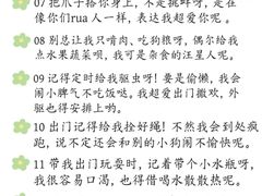 -猫猫幼稚园·撸猫·桌游·电玩