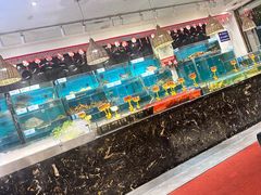 -潮粤香海鲜酒楼(沙湖店)