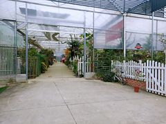 -三圣花乡旅游区