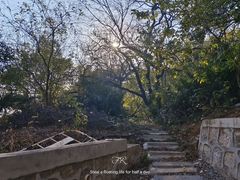 -太子山公园(园东路)
