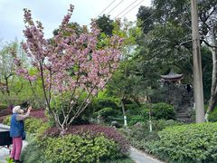 -郑和公园