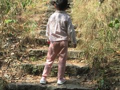 -青龙山国家森林公园