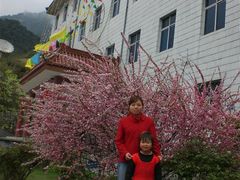 -王顺山国家森林公园