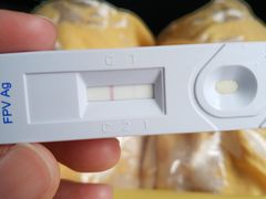 -成都民大动物医院