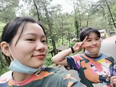 -梦幻奥陶纪景区