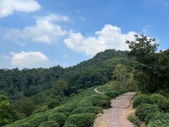 -西湖风景区十里琅珰-五云山