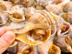 -亮庆餐厅·粤菜·早茶(篁庄店)